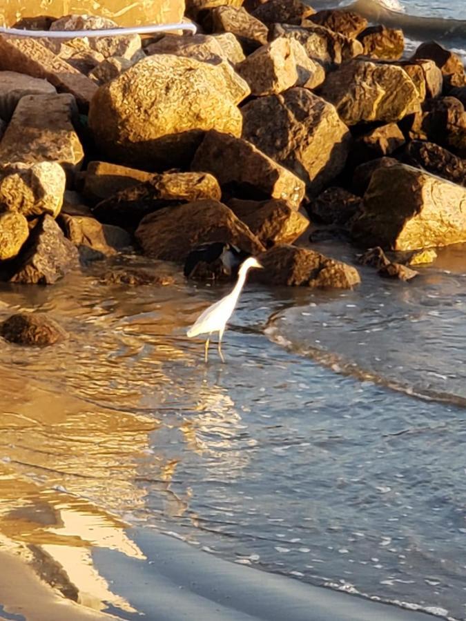 Apartamento Pes Na Areia Santos  Bagian luar foto